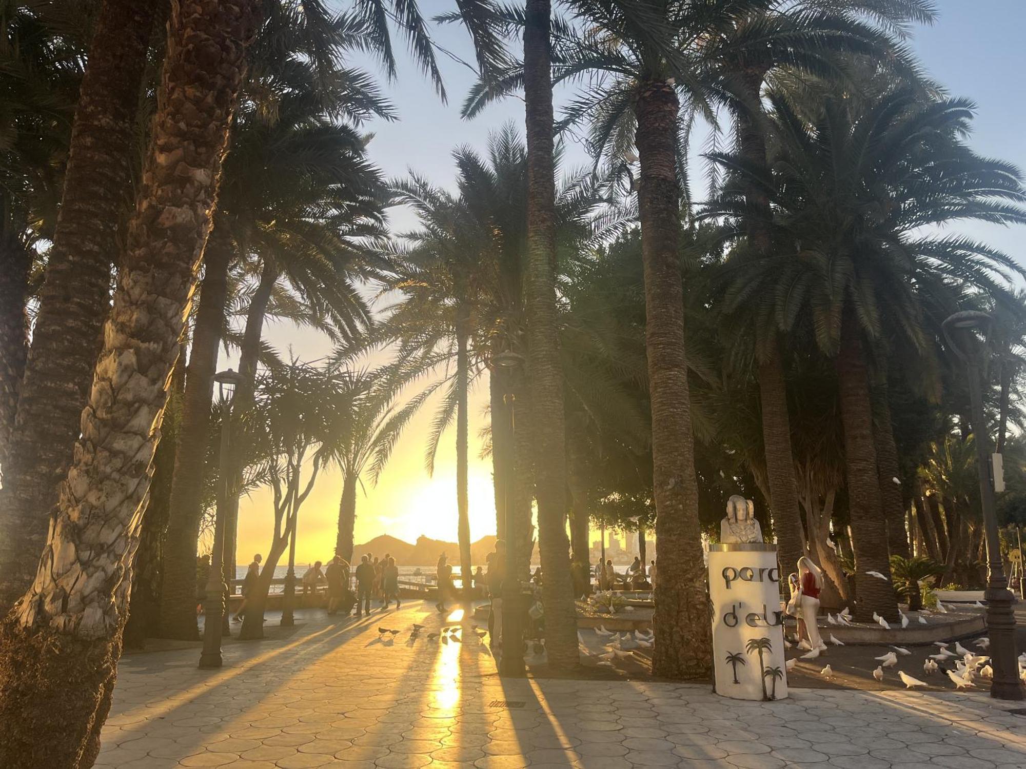Rouna IV By Gloove Benidorm Dış mekan fotoğraf